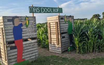 Het Maisdoolhof is een uitdagend doolhof van metershoog mais